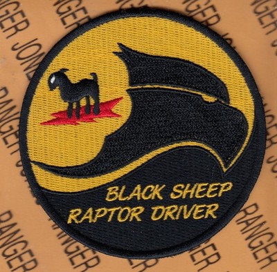 USAF Air Force 8th Fighter Sq FS Black Sheep Raptor Driver ~3.75'' patch c/e
