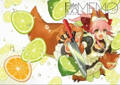 WADA ARCO Fate Grand Order FGO Designer's Art Book Fate