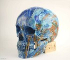 Bild 8 von 8