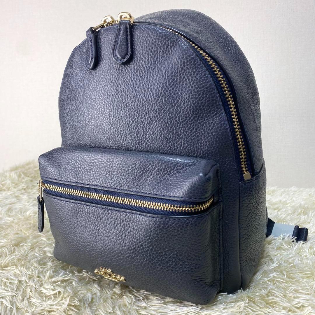 COACH Mini Charlie Backpack in Luxe Grain Leather