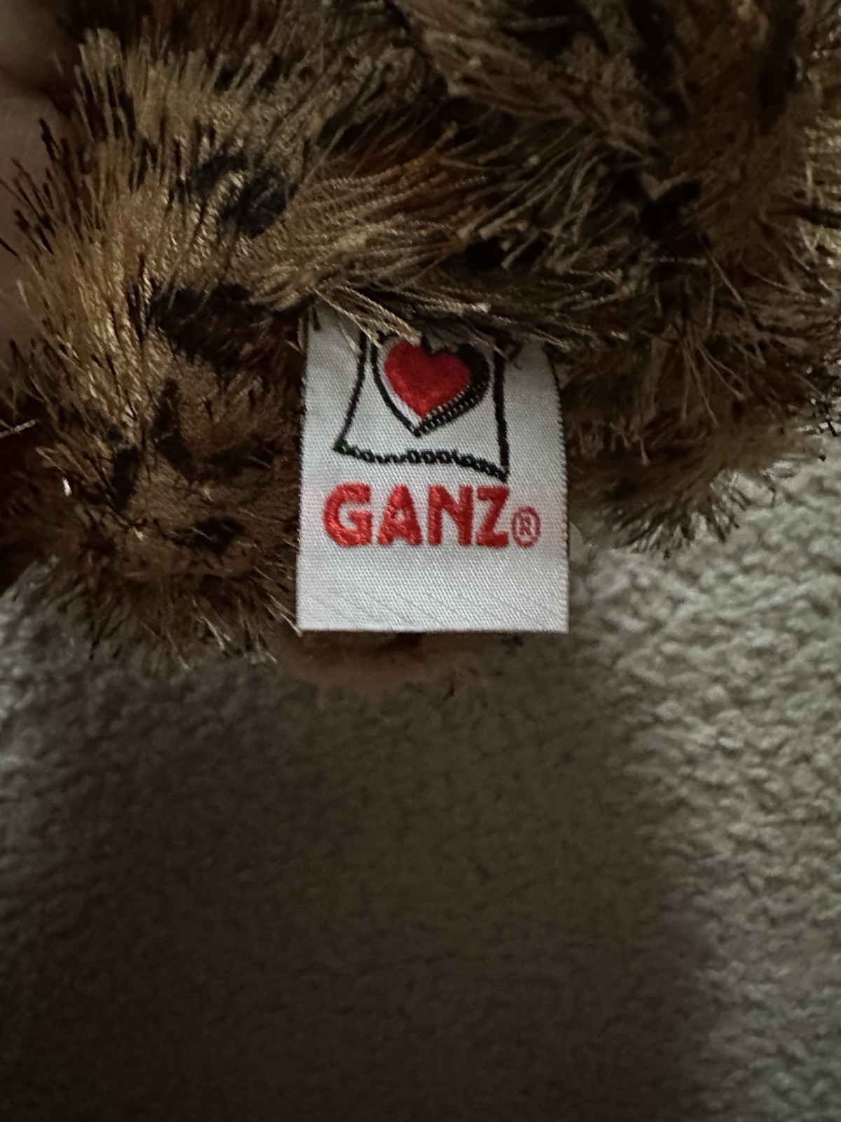 Picture 4 of 12