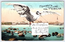 Vintage Revel Tallinn Estonia Seagull Postcard St. Petersburg Russia 1914