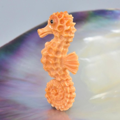 Seahorse Apricot Trumpet Shell Carving Sculpture Collection Jewelry Design 6.84g - Picture 8 of 12