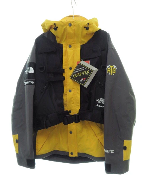 Supreme 20Ss The North Face Rtg Jacket Vest Np61903I Sg Summit