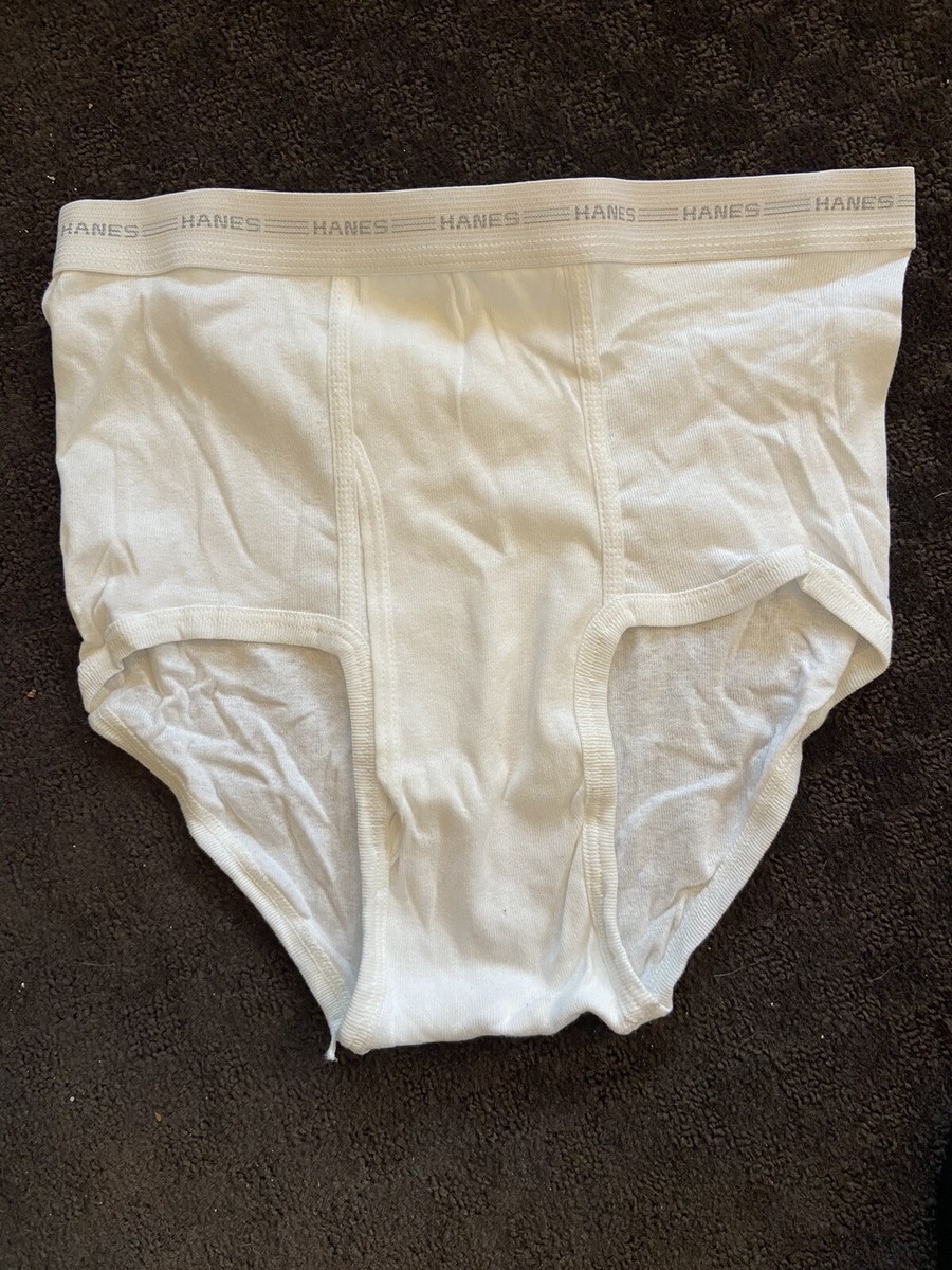 90s ヘインズ　hanes premium weight OVY NEW VINTAGE 90's HANES HEAVYWEIGHT/BEEFY & FRUIT OF the LOOM