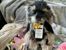 Charlie Bears The Gorgeous Minimo Captain Puddle Maker New Tags And Bag 🌹🌹🌹
