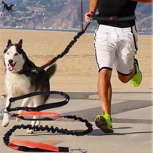 dog leash running belt