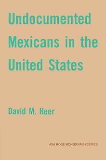 Undocumented Mexicans in the USA (American Sociolog... | Buch | Zustand sehr gut