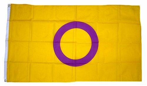 Flagge / Fahne Intersex Pride Hissflagge 90 x 150 cm