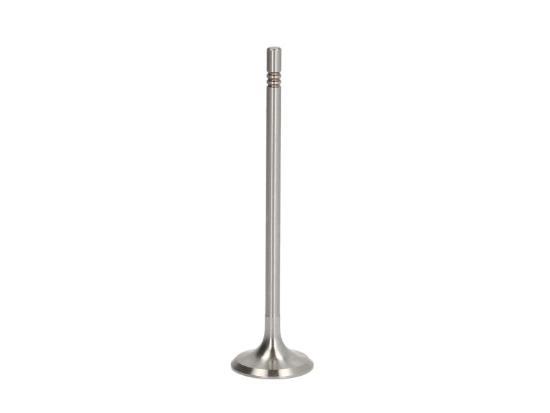 Fits FRECCIA 6839/S Intake Valve 6839/S Intake valve (28,4x5x110,2) fits: AUDI