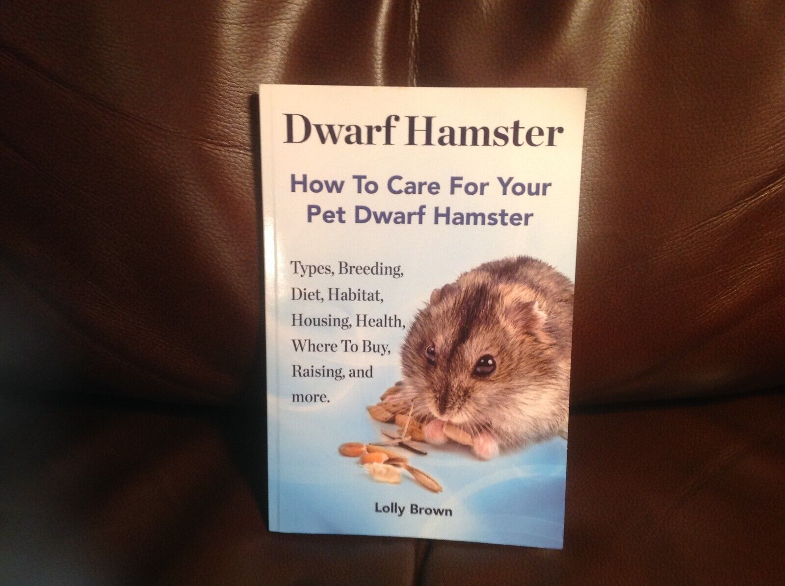 How to Care for a Pet Dwarf Hamster