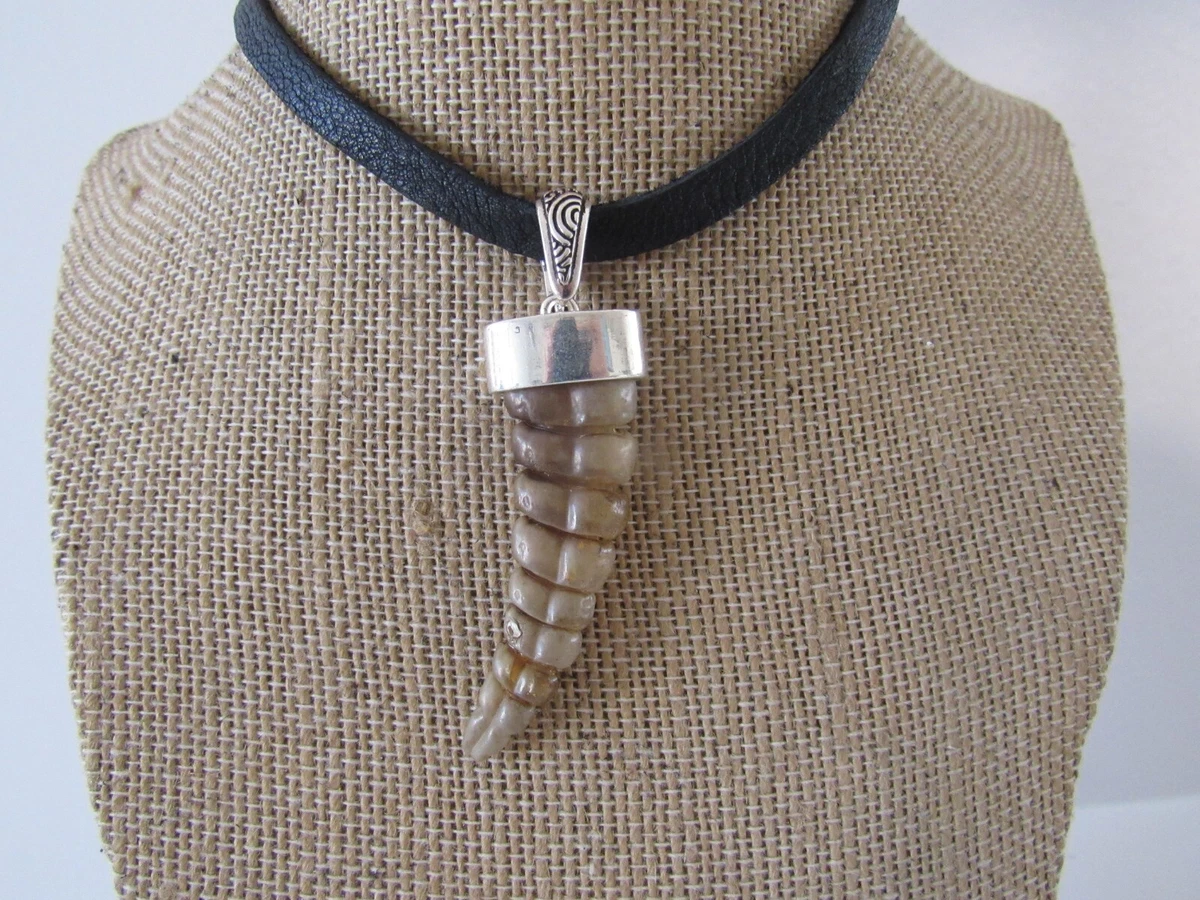 Rattlesnake Rattle Pendant Snake Agate Necklace Spirit Animal Bone Jewelry  Boho N3792