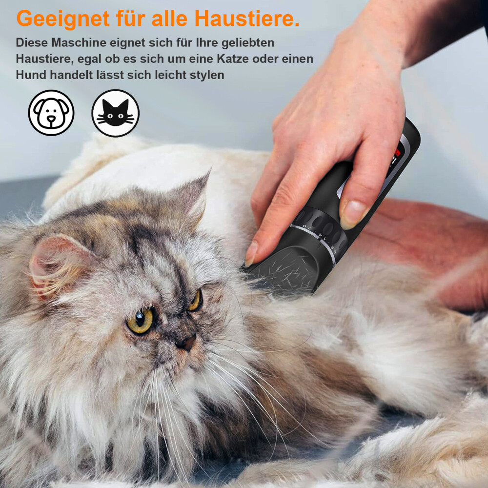 Bild 10 von 12