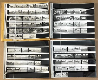VTG 1960s B&W Contact Sheets 97 Images St Petersburg Jr College SPJC Field Day