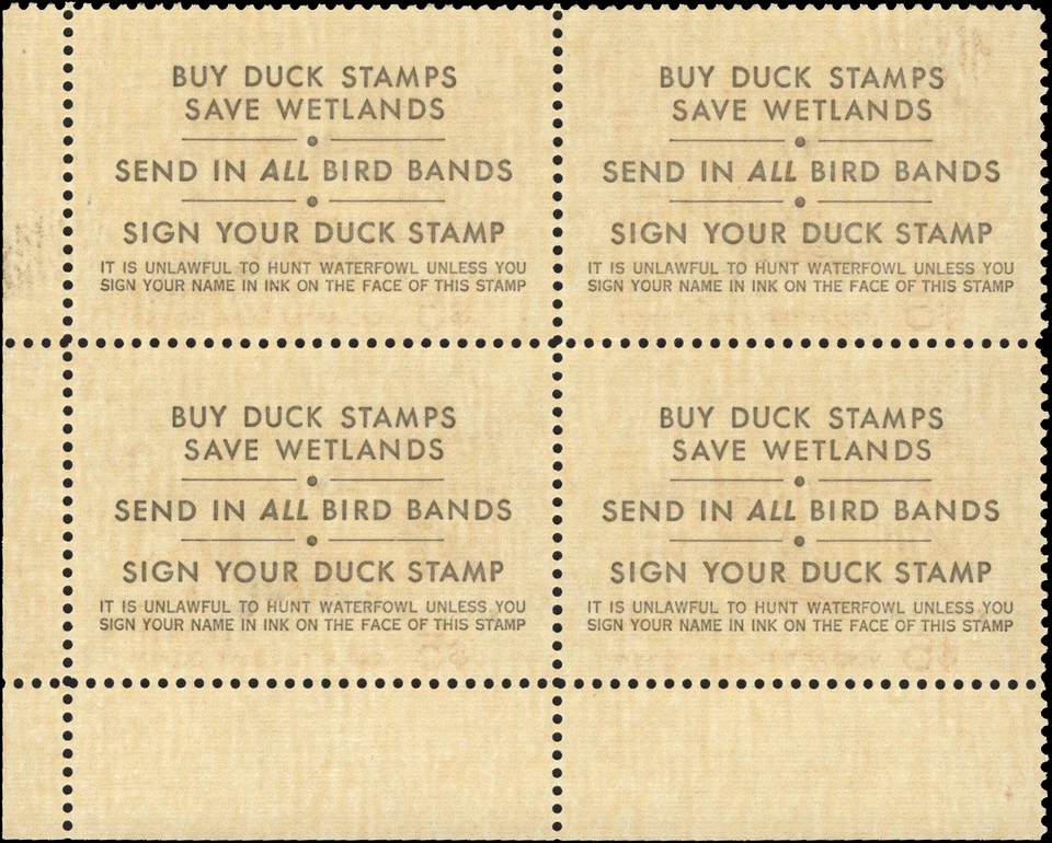 UNITED STATES-1973- Hunting Permit $5 Steller's Elders-Sc# RW40-Blk x 4-MNH OG - Image 2 of 3