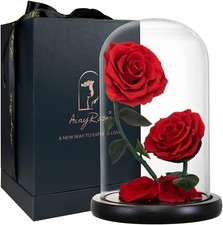 Gifts for Women Forever Preserved Red Rose,Birthday Valentines Day Gift with Red