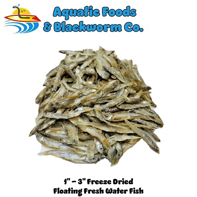 1''- 3'' Fresh Water Fish --- Freeze Dried for Large Fish, Turtles, Reptiles