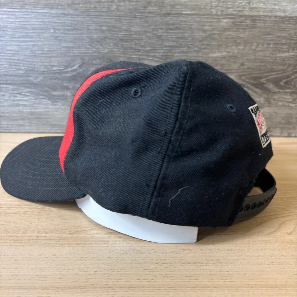 Chapéu NASCAR Vintage Snap Back Preto Bordado Dale Earnhardt Signature EUA - Imagem 4 de 4