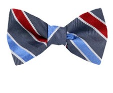 Men's 100 Silk Designer Self Tie Striped Woven Bowtie- NWT