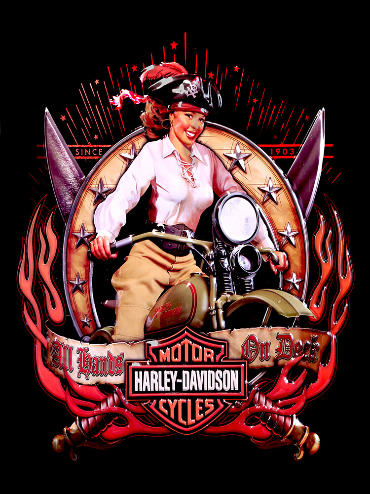 オーダー受付パネル♡Girlパネル❤︎レトロバイク Vintage Harley Davidson pirate pinup girl reproduction steel sign