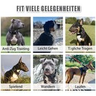 Bild 2 von 8