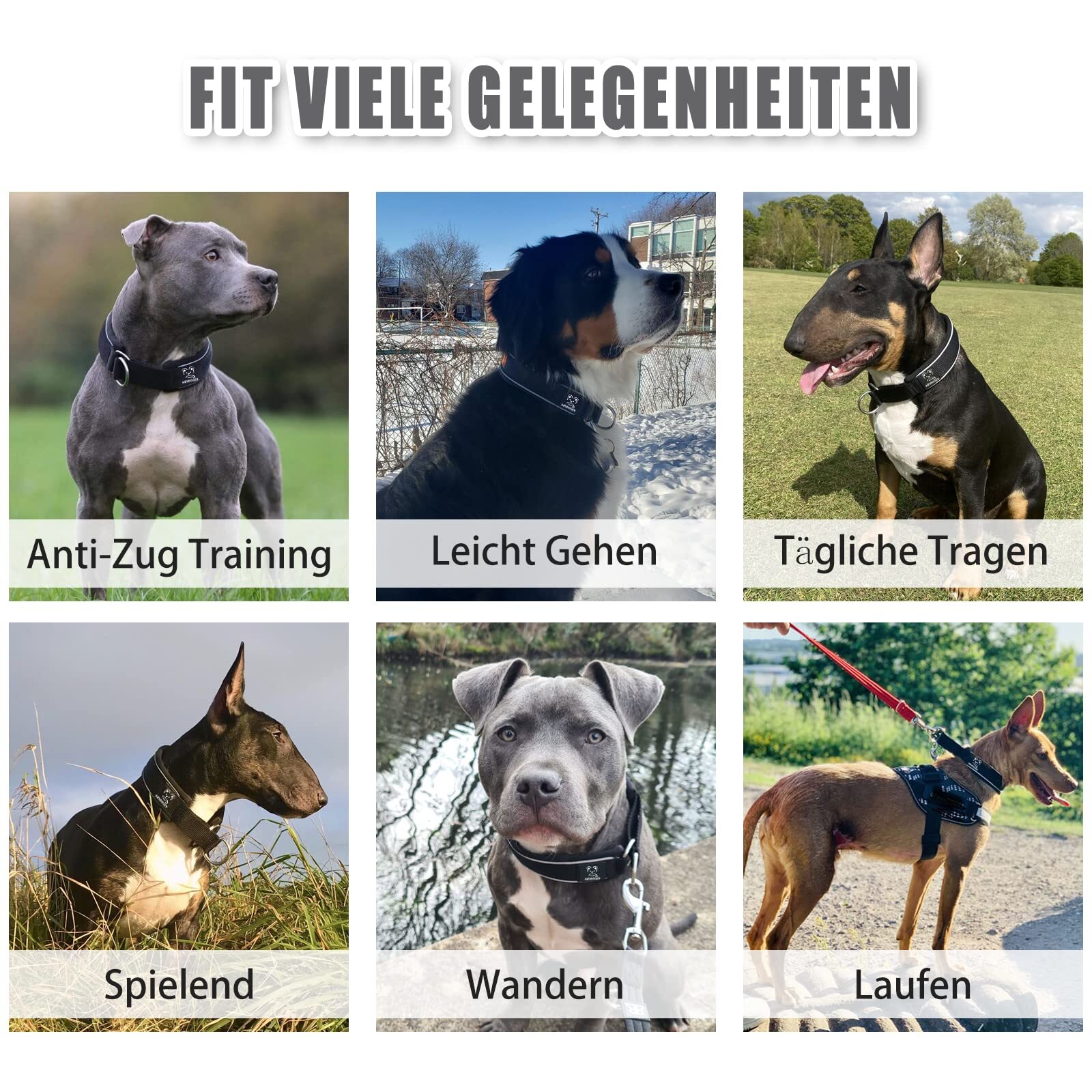Bild 2 von 8