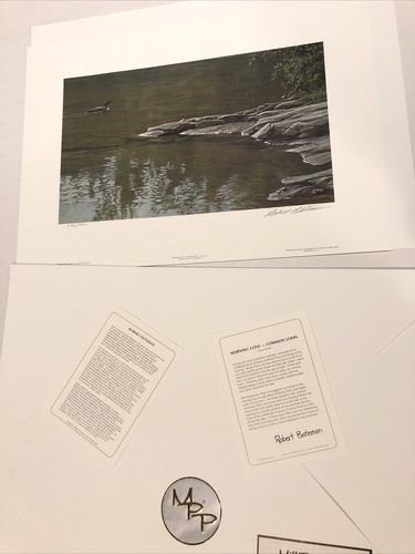 1988 Robert Bateman. "Morning Cove -Common Loon". #872/950Signed Lithograph - Picture 5 of 12