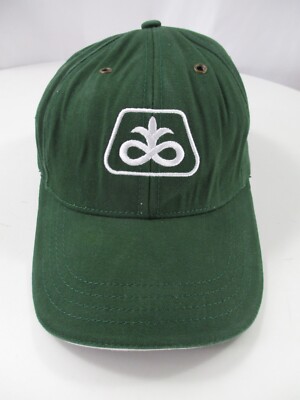 Pioneer Seed Cap Hat Strap Back Green White Corn Agriculture Technology Farm Men
