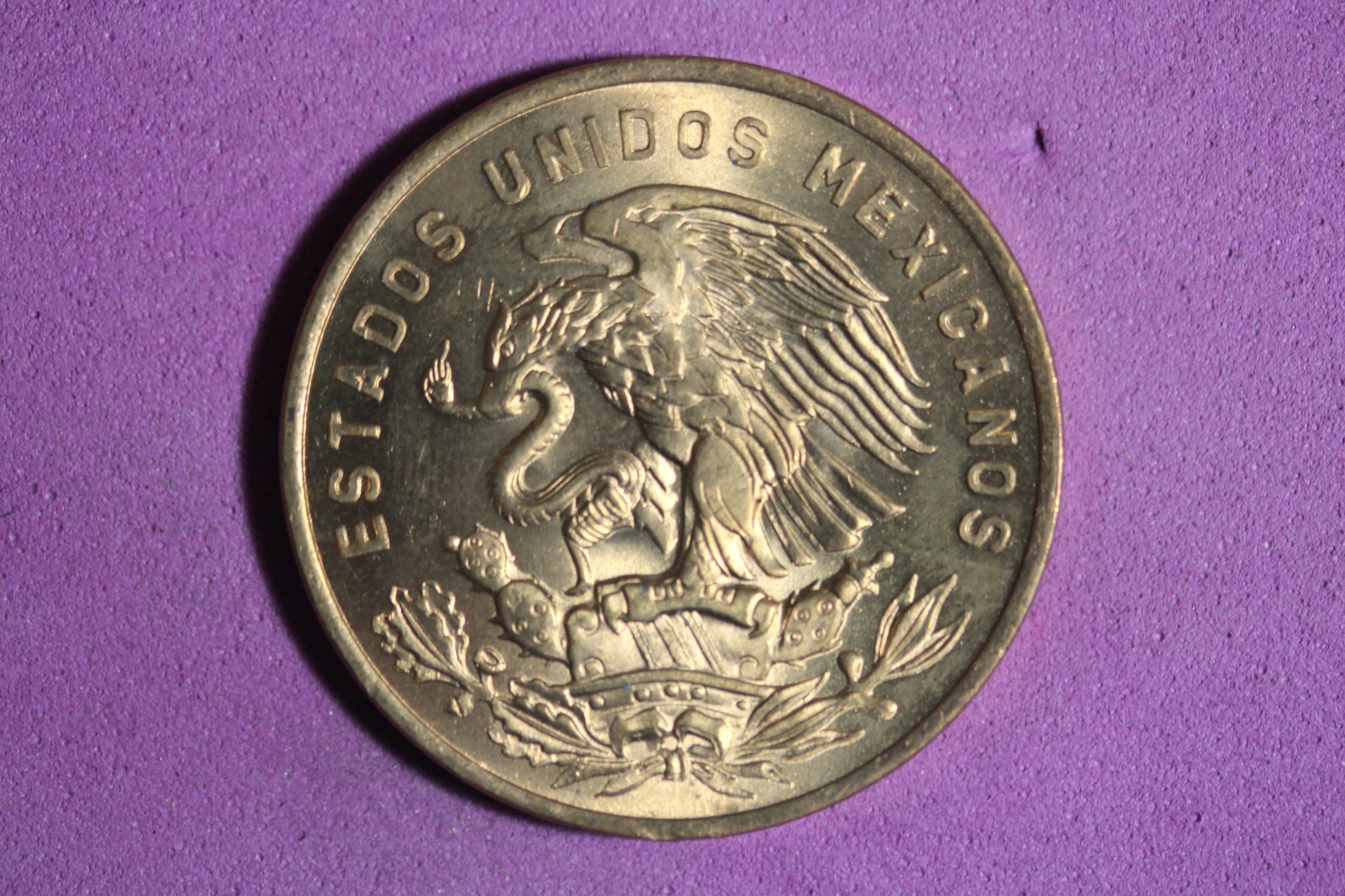 Picture 2 of 2