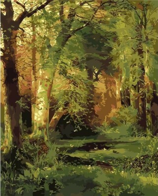 USA - DIY Paint by Number Kit Acrylic Painting Home Decor - Forest Scene