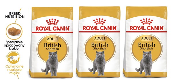 Royal Canin British Shorthair Katzenfutter Trocken FüR Britisch Kurzhaar 3X400 G-image
