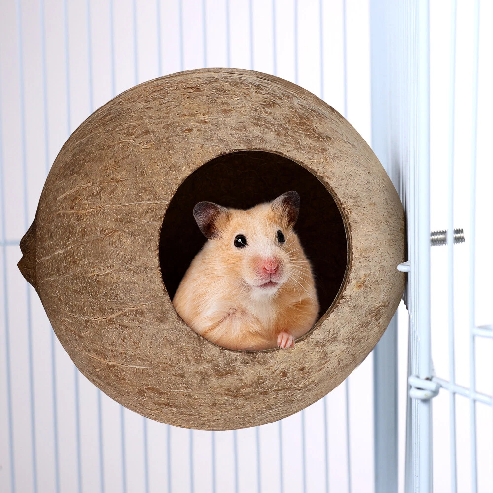 Rat cage toys deals