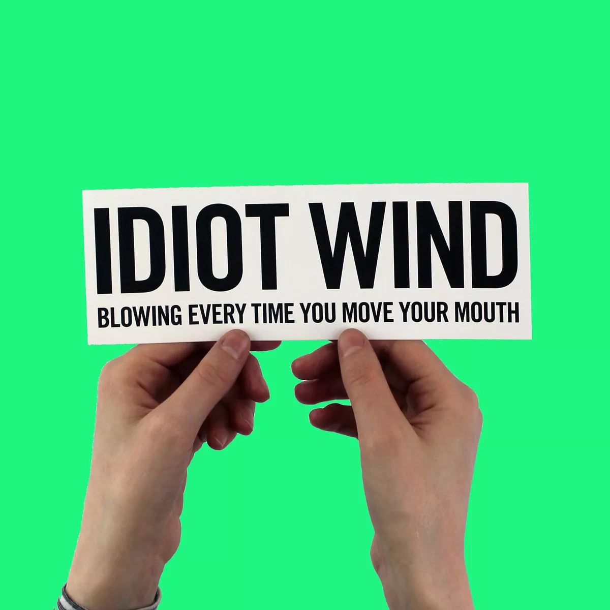 you are an idiot! (lyrics) 