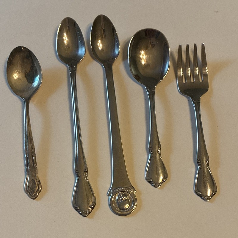 Baby SpoonsStainless Steel 5-Piece Flatware Set Silver Spoons
