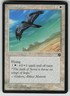 Mesa Falcon Common Homelands 10 MTG Moderately Played