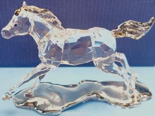 SCS Annual Edition 2014 Esperanza Foal MIB Complete 5004729 Free Ship