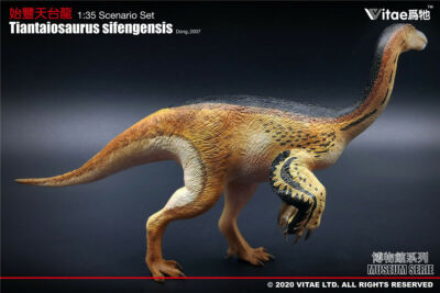 Vitae 1/35 Tiantaiosaurus sifengensis Dong A Model Dinosaur Figure Animal Decor