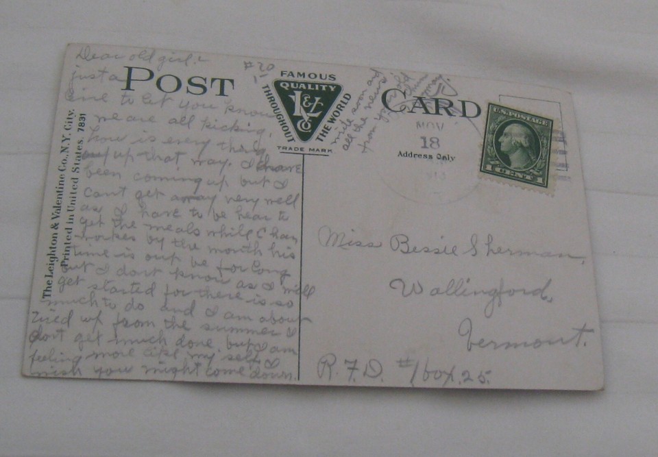 1913 LAKE RESCUE VT “FROM SARGENT’S POINT” PHOTO POSTCARD DORSET VT ...