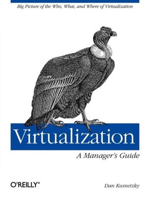 Virtualization  A Managers Guide by Dan Kusnetzky PAPERBACK 9781449306458