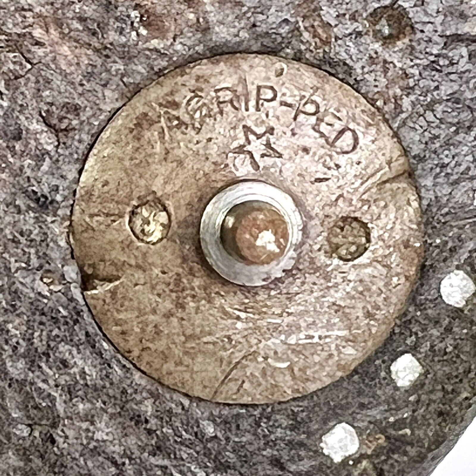 Picture 15 of 24