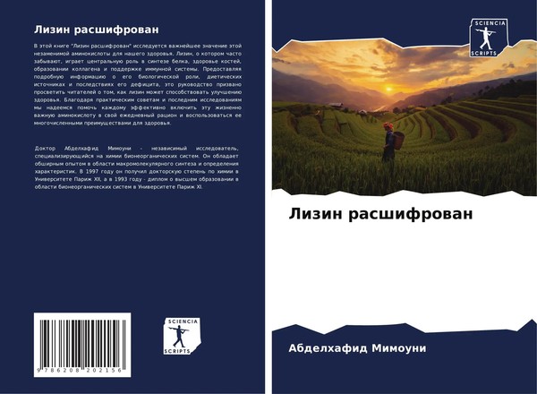 Abdelhafid Mimouni | Lizin Rasshifrowan | Taschenbuch | Russisch (2024)-image