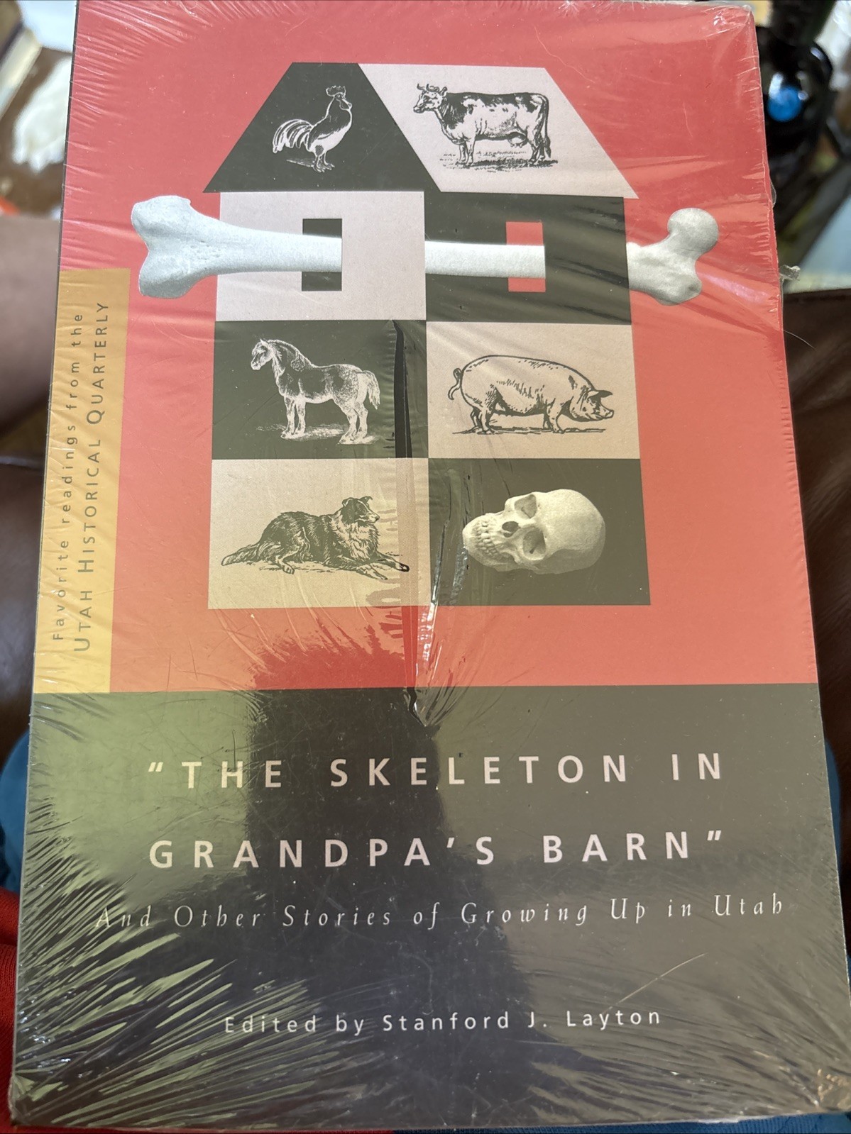 THE SKELETON IN GRANDPA'S BARN: AND OTHER STORIES OF By Stanford J. Layton NEW