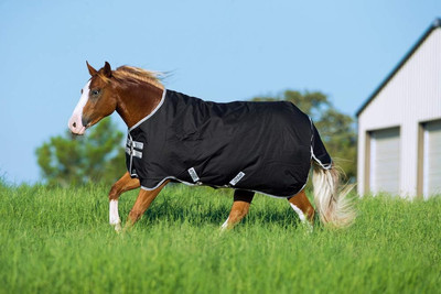 Ireland Amigo Stock Horse Turnout Medium 200G Black/Silver 74