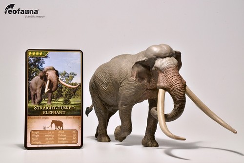 Eofauna Straight-tusked Elephant - BNWT
