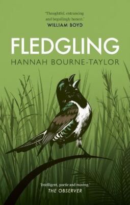 Fledgling, Bourne-Taylor, Hannah, New condition, Book