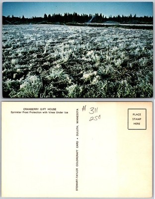 Cranberry Gift House Frost Protection Ice Postcard