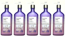 5 Bath  Body Works LAVENDER  PEPPERMINT Calming Skies Body Lotion Aromatherapy