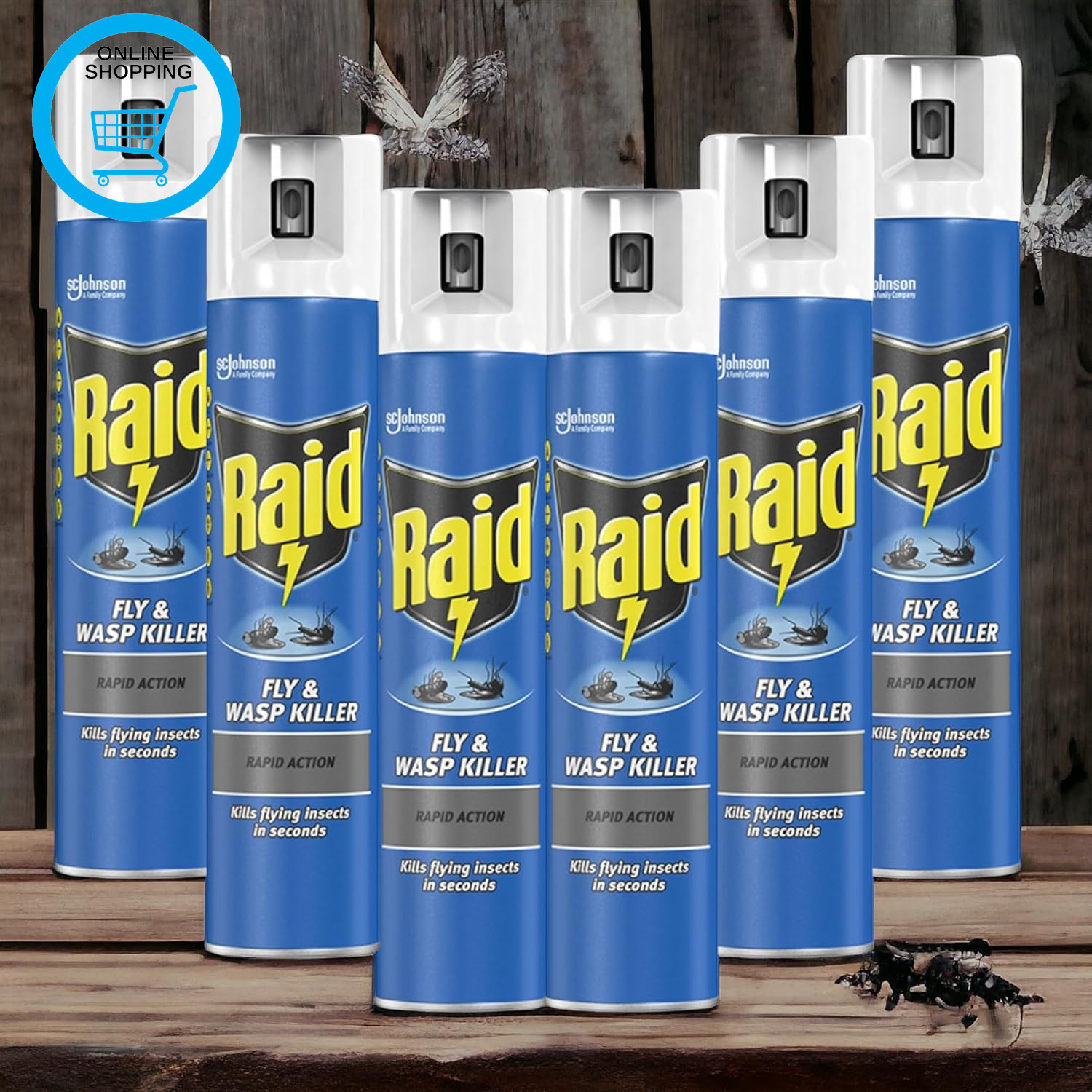 6 X 300Ml Raid Rapid Action Fly & Wasp Killer, Fly Killer Spray for Indoor Use(T