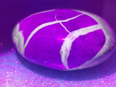 Septarischer Palmenstein | 130,7g | UV REAKTIVER Drachenstein - Erdung & Stärke 