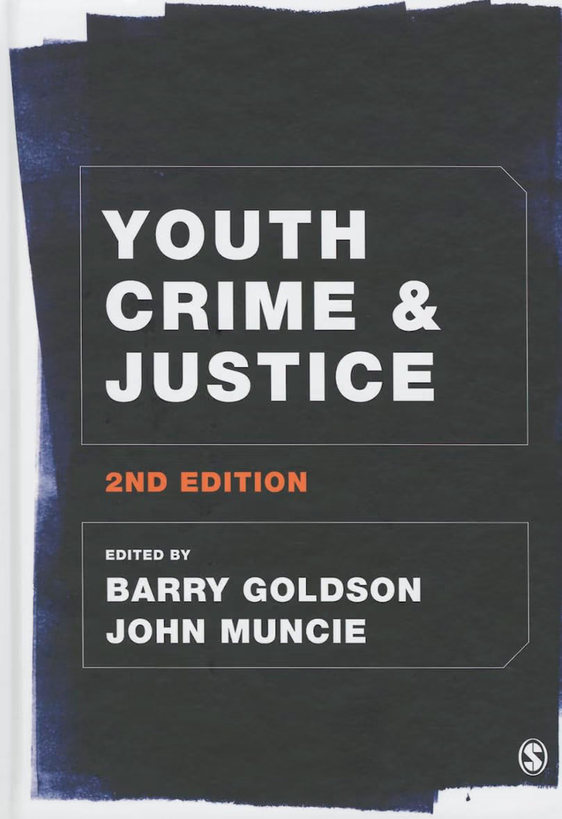 Youth Crime and Justice - Image 3